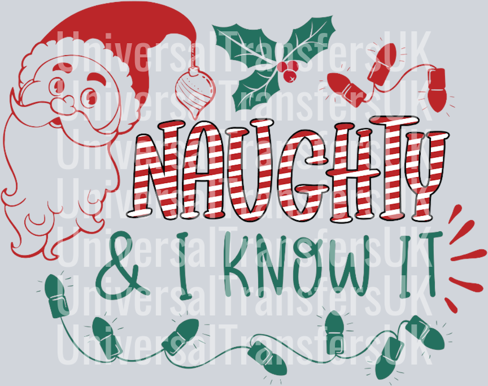 Stripes Naughty & I know it red santa outline