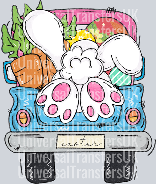 Bunny in back of truck