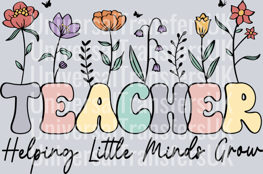 Teacher (78)